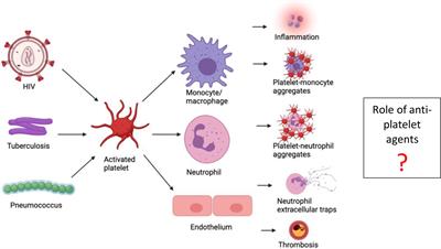 Editorial: The Role of Platelet Activation in the Pathophysiology of HIV, Tuberculosis and Pneumococcal Disease